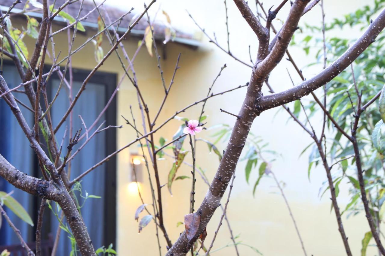L'Amant Homestay Da Lat Buitenkant foto