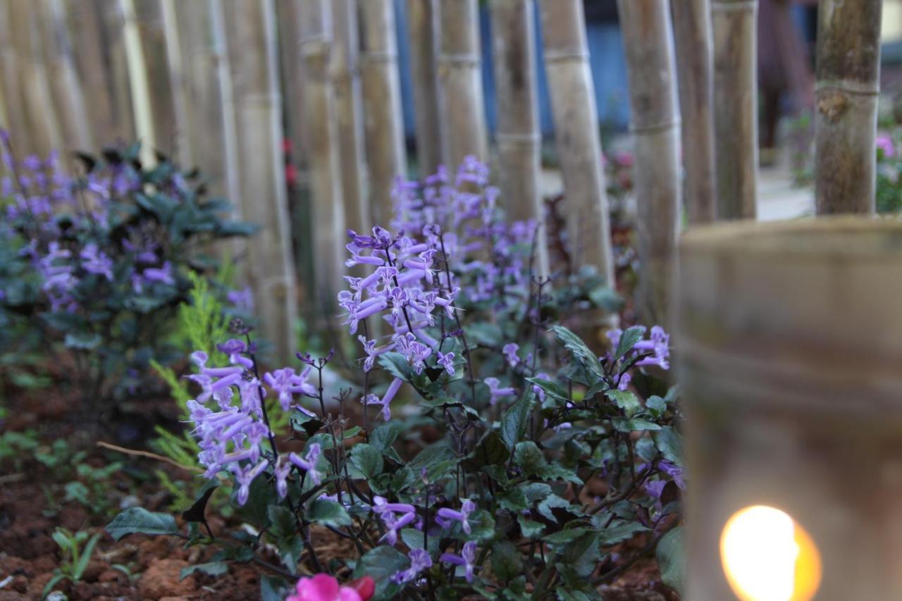 L'Amant Homestay Da Lat Buitenkant foto