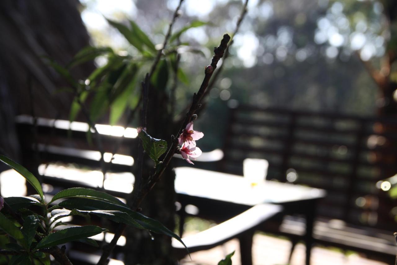 L'Amant Homestay Da Lat Buitenkant foto