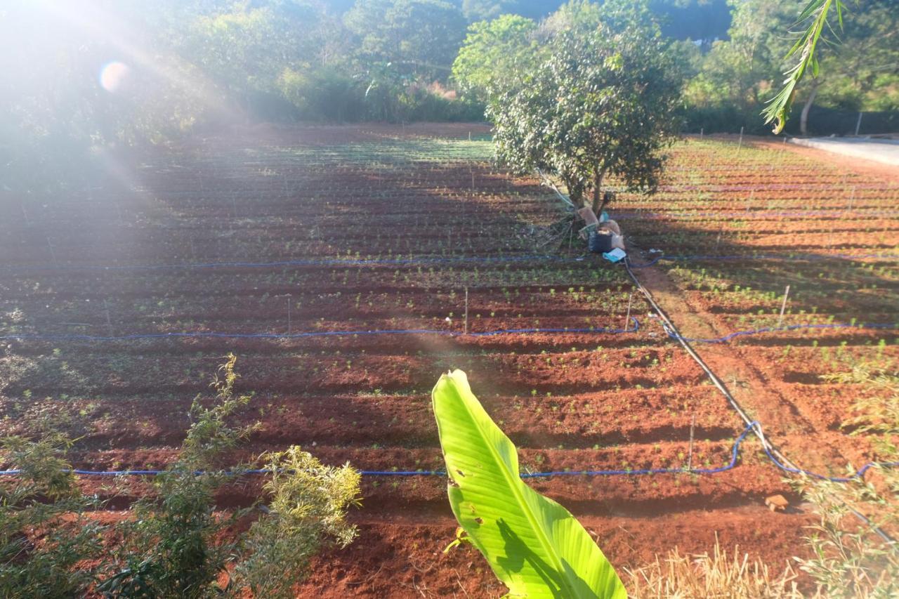 L'Amant Homestay Da Lat Buitenkant foto