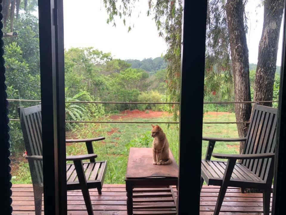 L'Amant Homestay Da Lat Buitenkant foto